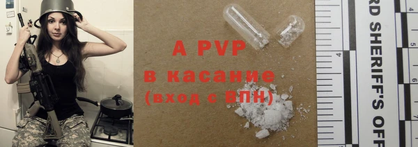 твердый Бородино