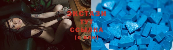 мдпв Вязьма