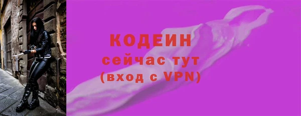 мдпв Вязьма