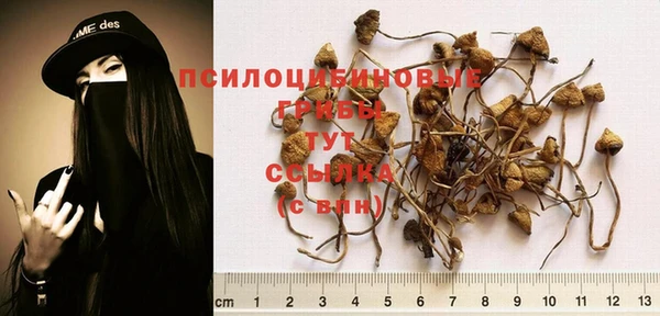 кристаллы Володарск